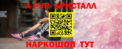 МДПВ Новозыбков