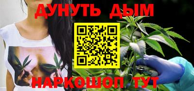 МДПВ Новозыбков