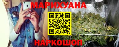 МДПВ Новозыбков