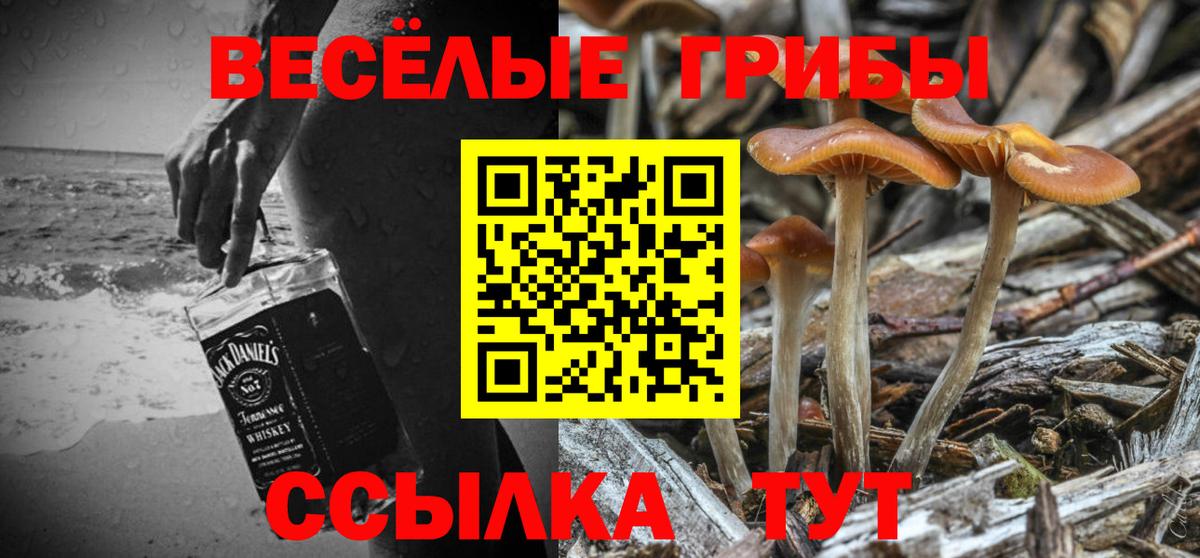 Стрежевой  Псилоцибиновые грибы Cubensis  Вход с VPN 